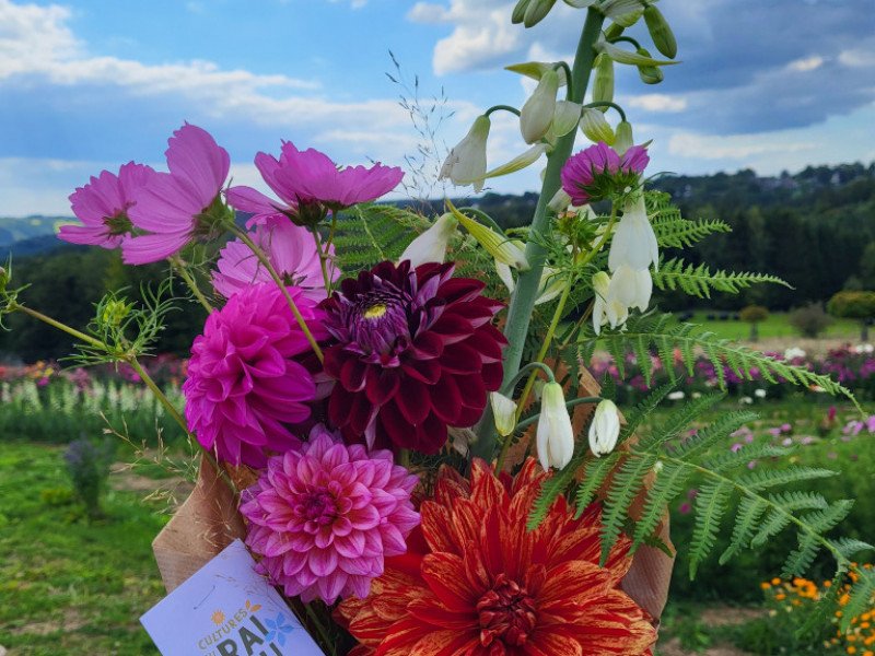 Les Cultures du Raideu à Malmedy - Lokale producent - Bloemist | Boncado - photo 13
