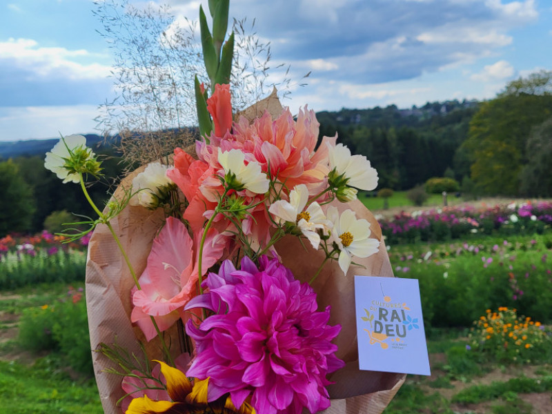Les Cultures du Raideu à Malmedy - Lokale producent - Bloemist | Boncado - photo 27
