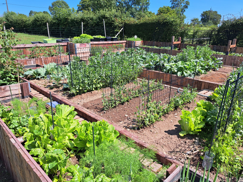 La Ferme du Hélivy à Jalhay - Restaurant gastronomique - Brasserie | Boncado - photo 16