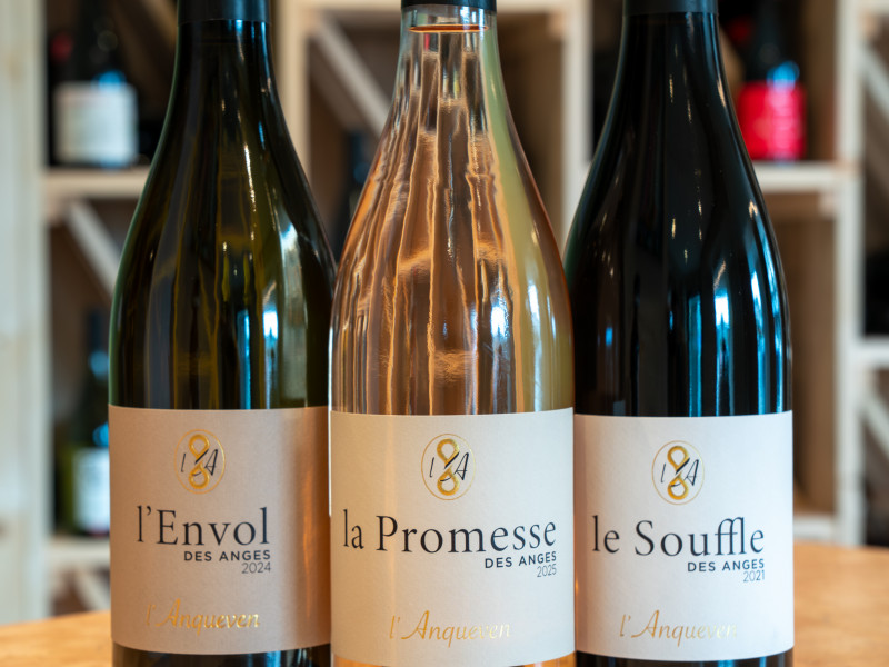 Vendanges à Bastogne - Vins et spiritueux - Bar à vin | Boncado - photo 7