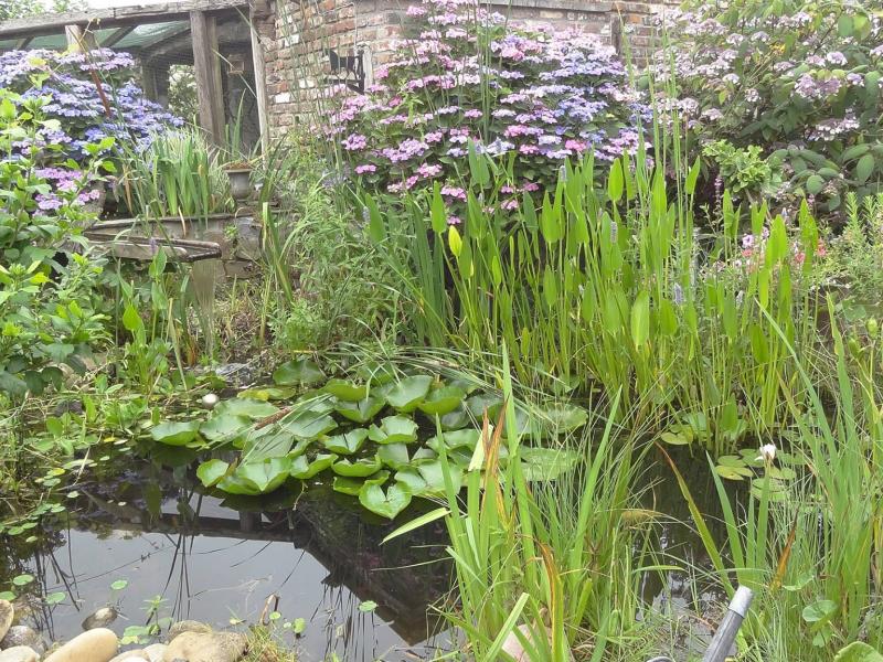 Le Jardin de Caroline à Housse - HORECA | Boncado - photo 6