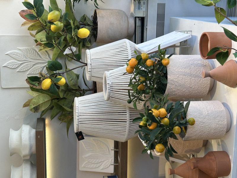 Bergamote fleurs à Pepinster - Fleuriste | Boncado - photo 13