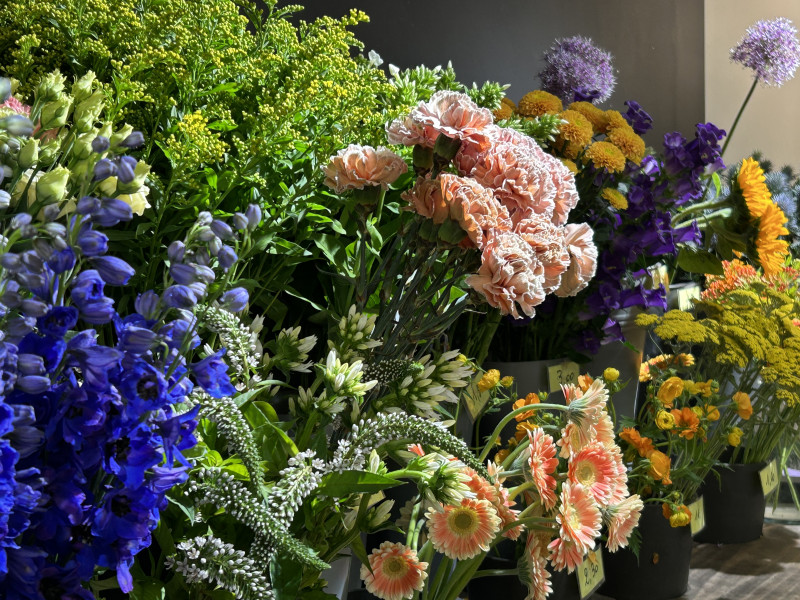 Bergamote fleurs à Pepinster - Fleuriste | Boncado - photo 19