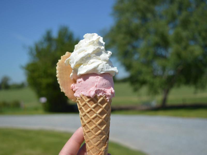 LAITsentiel à Lontzen - Ernährung und Getränke | Boncado - photo 6