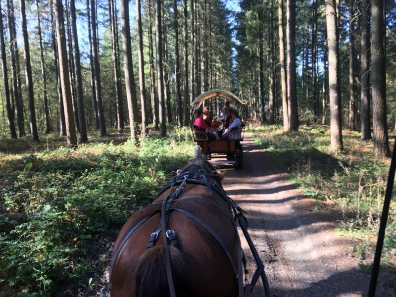 ATTELAGES ARDENNAIS (Les traits de la Famenne) à Marche-en-Famenne - Sport, Kultur & Freizeit | Boncado - photo 5