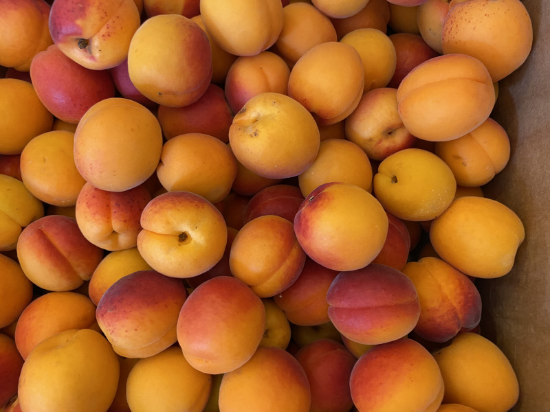 Pré Fleuri à malmedy - Épicerie - Épicerie fine | Boncado - photo 17