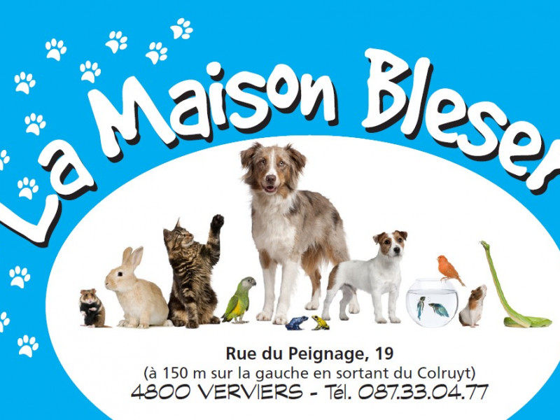 La Maison Bleser à Verviers - Animalerie | Boncado - photo 2