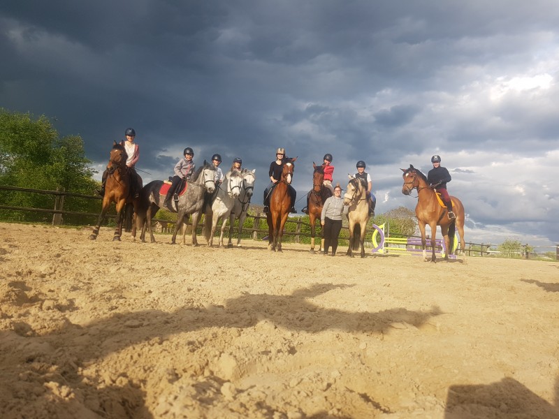 Les écuries de Retinne à retinne - Manege - Manege | Boncado - photo 4