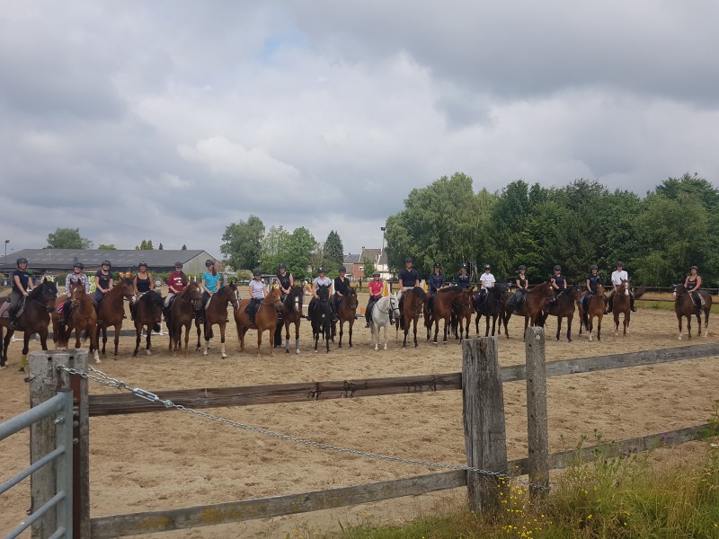 Les écuries de Retinne à retinne - Manege - Manege | Boncado - photo 5