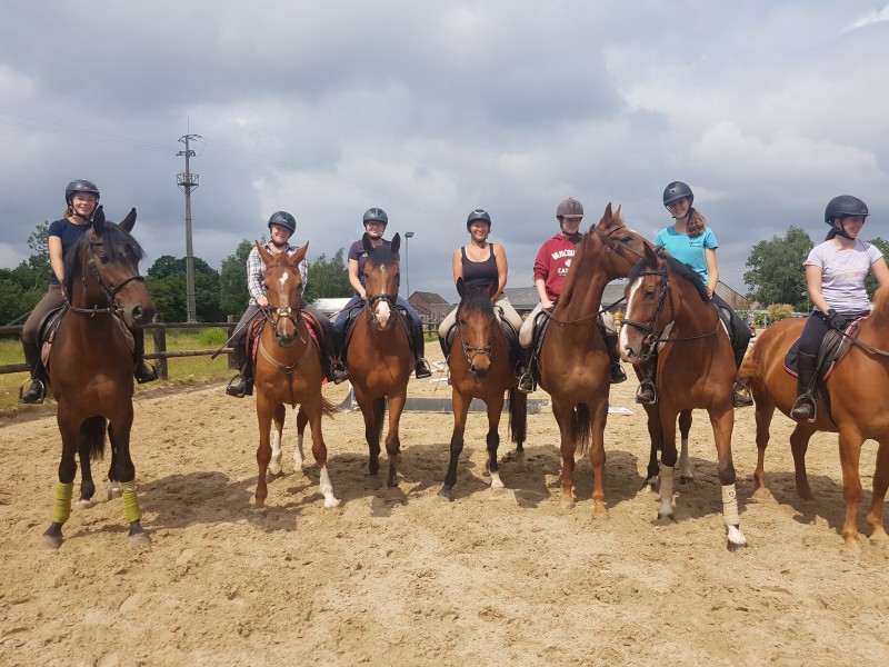 Les écuries de Retinne à retinne - Manege - Manege | Boncado - photo 8