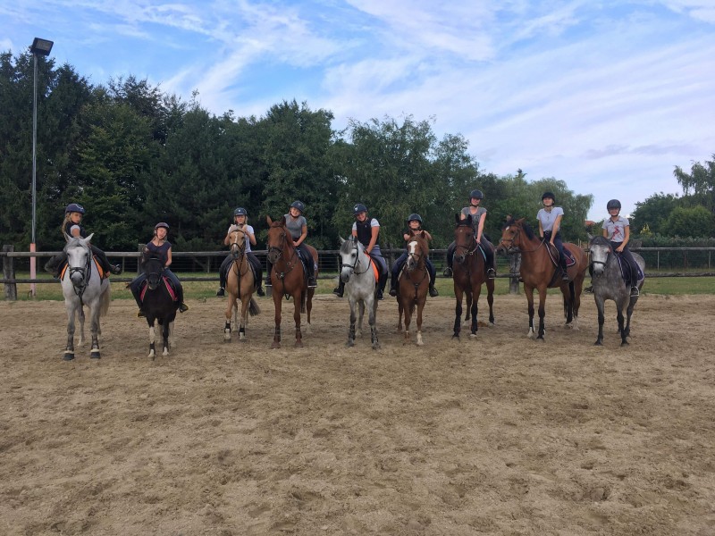 Les écuries de Retinne à retinne - Manege - Manege | Boncado - photo 9