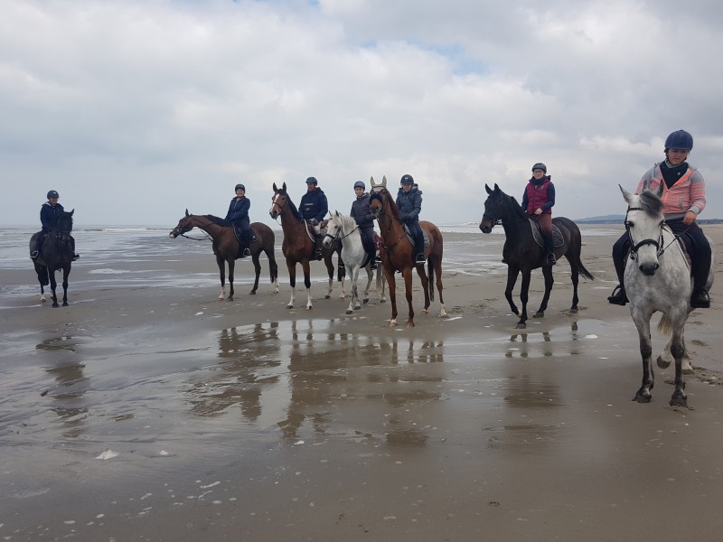 Les écuries de Retinne à retinne - Manege - Manege | Boncado - photo 10