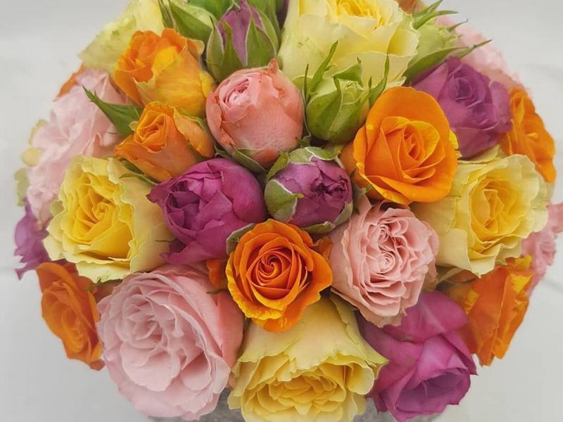 Daisy Flowers à Huy - Fleurs et Déco - Magasin de décoration | Boncado - photo 2