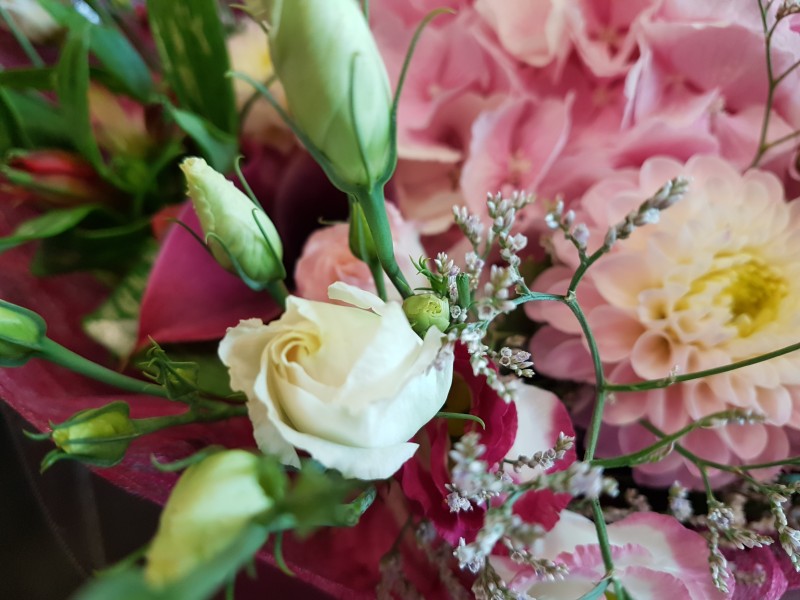 Fleurs de Liz à Jurbise - Bloemen en decoratie | Boncado - photo 5